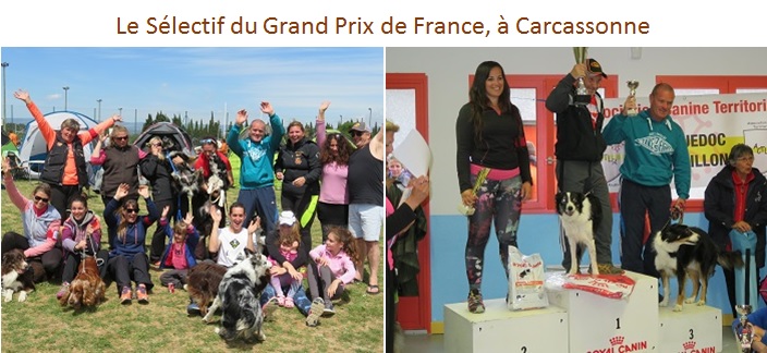 L'équipe d'agility au sélectif GPF